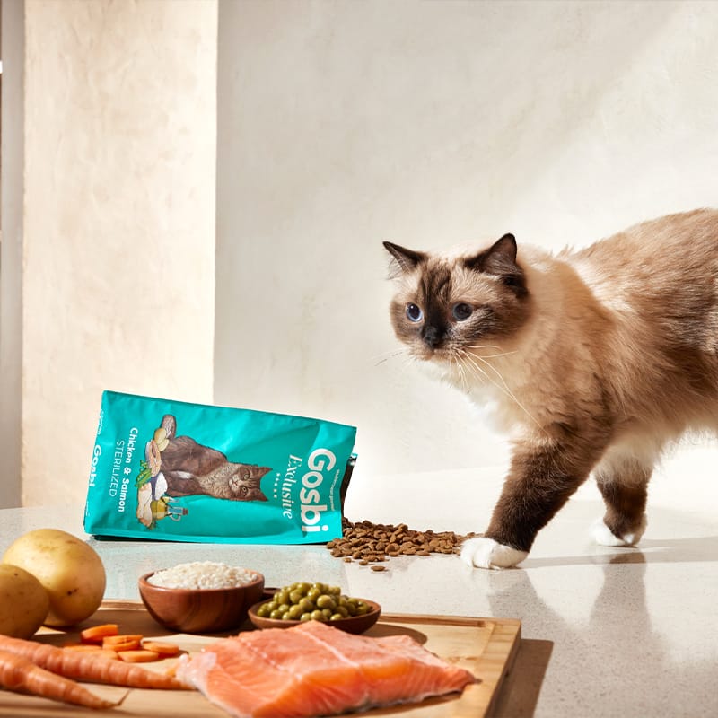 Exclusive Cat Sterilized Chicken with Salmon
